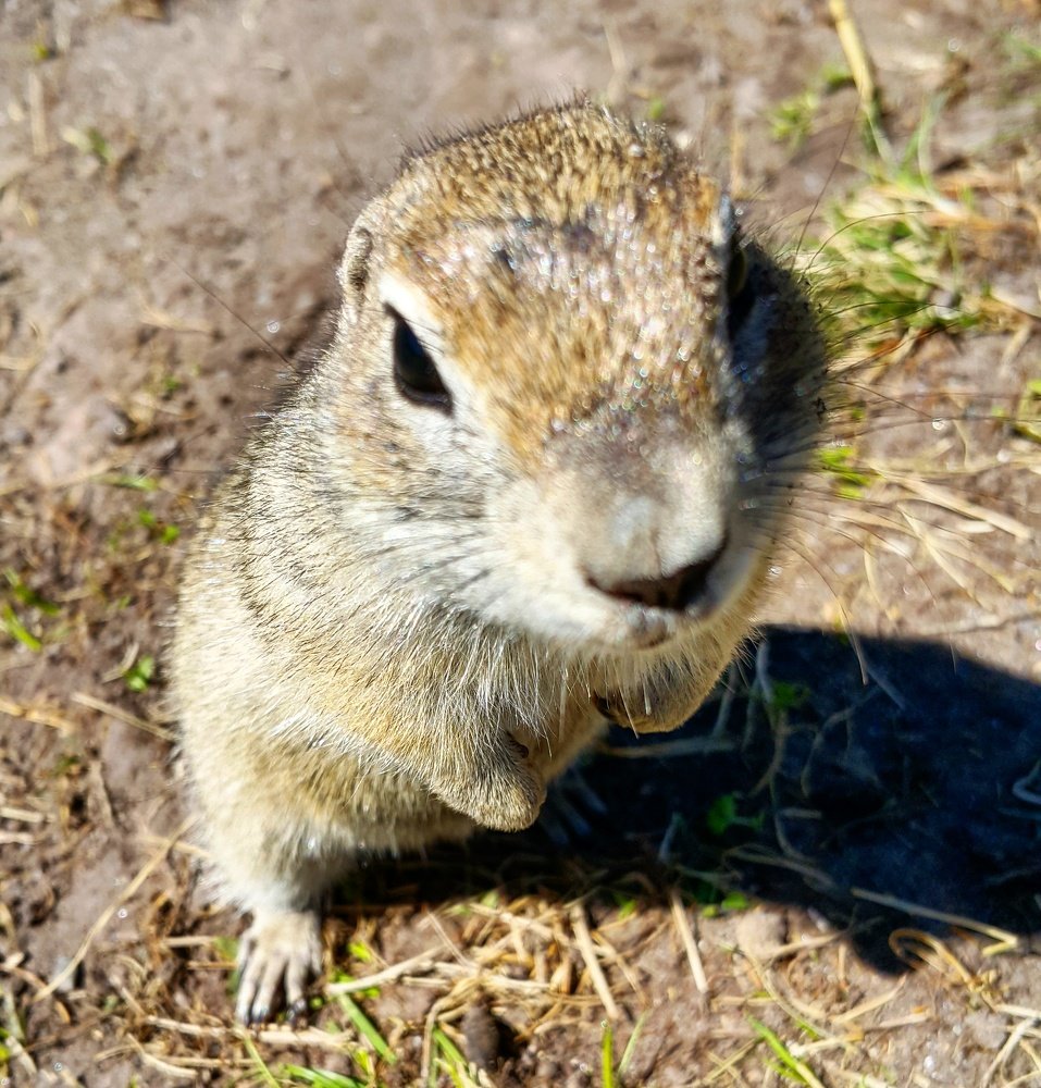 Photograph by Елена Горячева