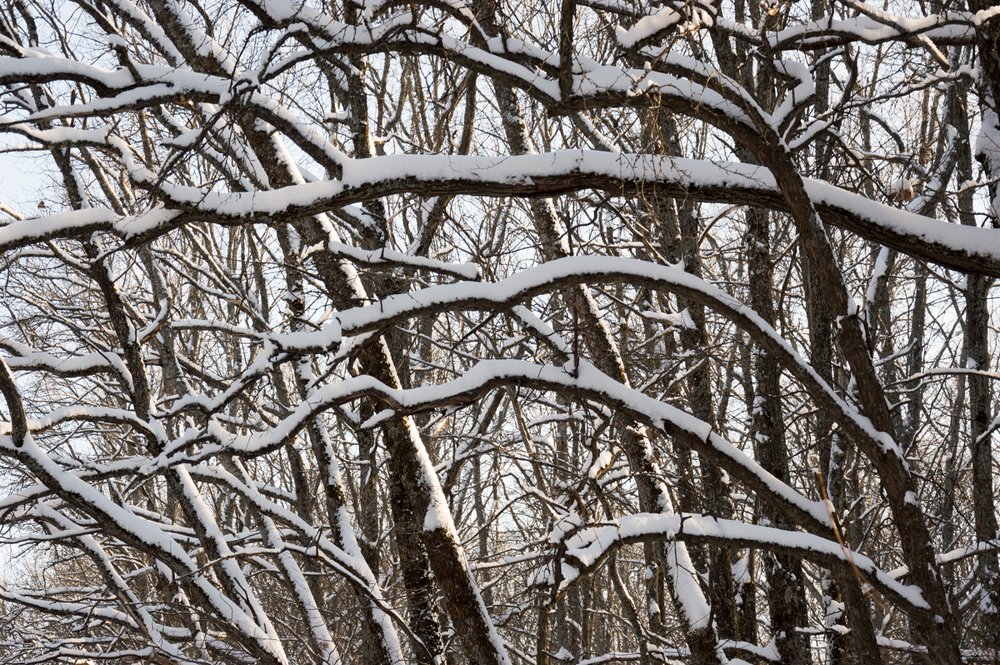 Photograph by Светлана Гок