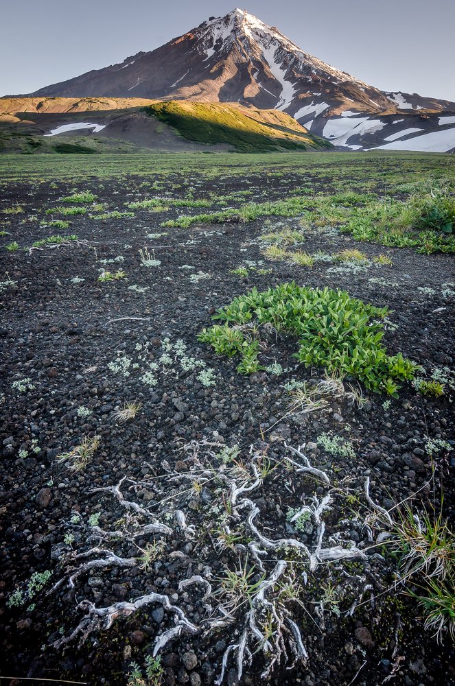 Нелёгкая жизнь у подножья вулкана