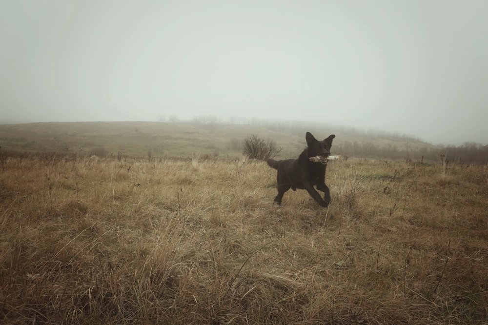 Photograph by Александр Бычков