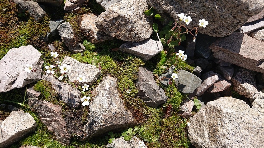 Photo #3925509