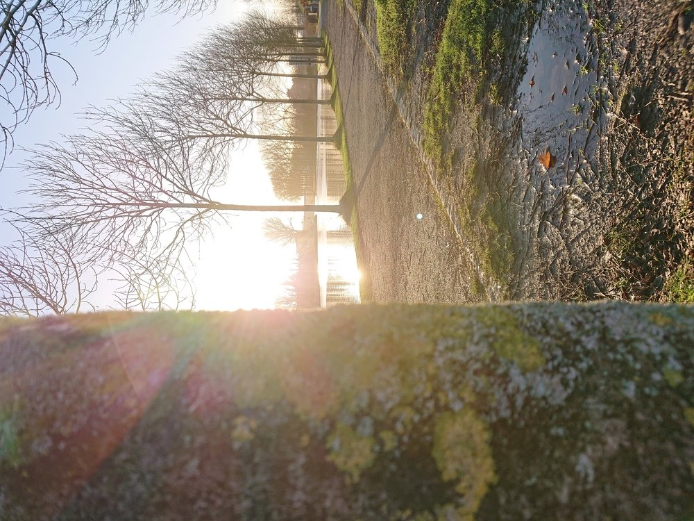 Photo #3925510