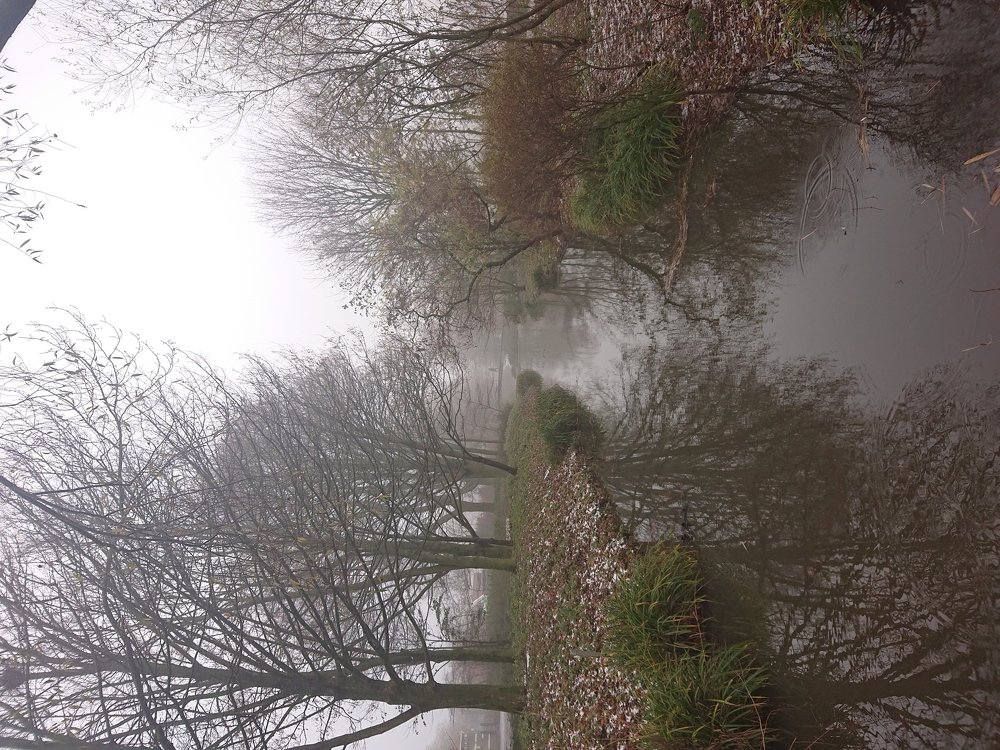 Photo #3925511