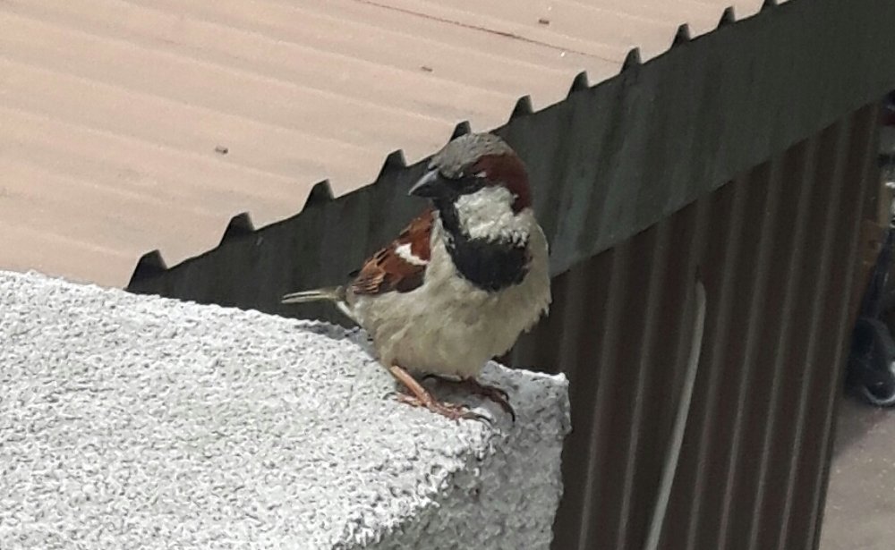 Photograph by Алексей Стрижаков