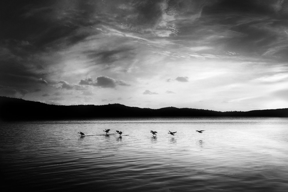 Photograph by Gregorio Tommaseo