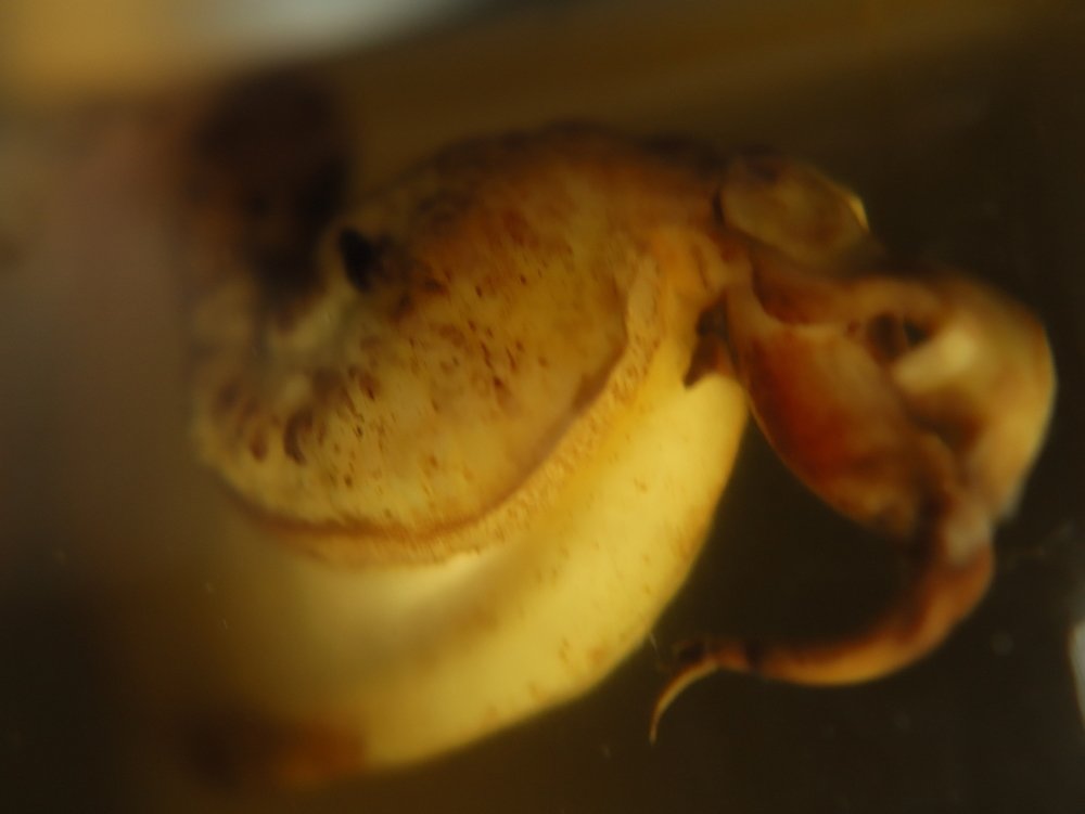 Photograph by Газетдинов Айрат