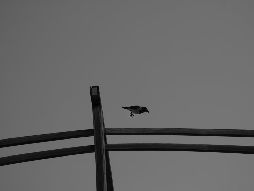 Photograph by Газетдинов Айрат