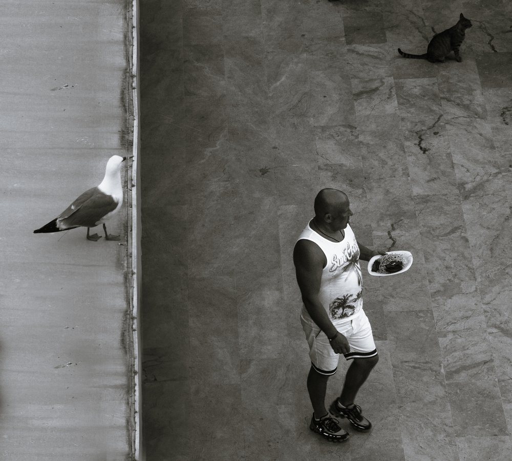 Photograph by Газетдинов Айрат