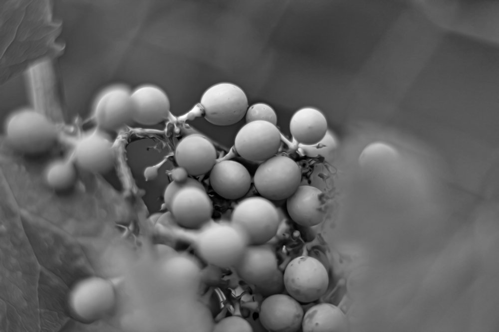 Photograph by Газетдинов Айрат