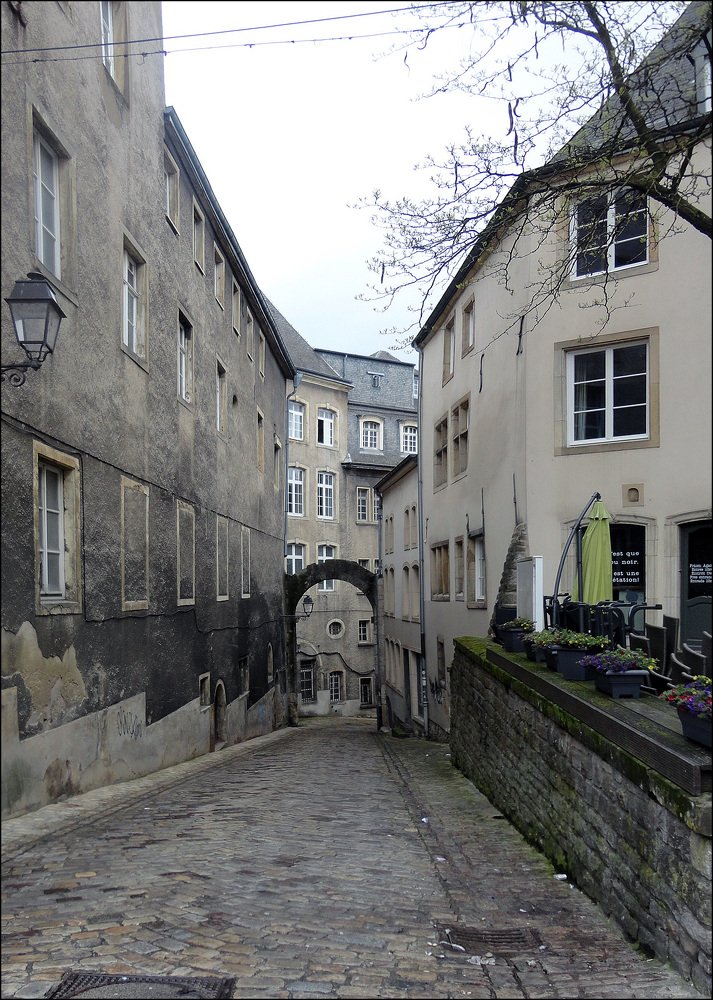 Photo #3925826