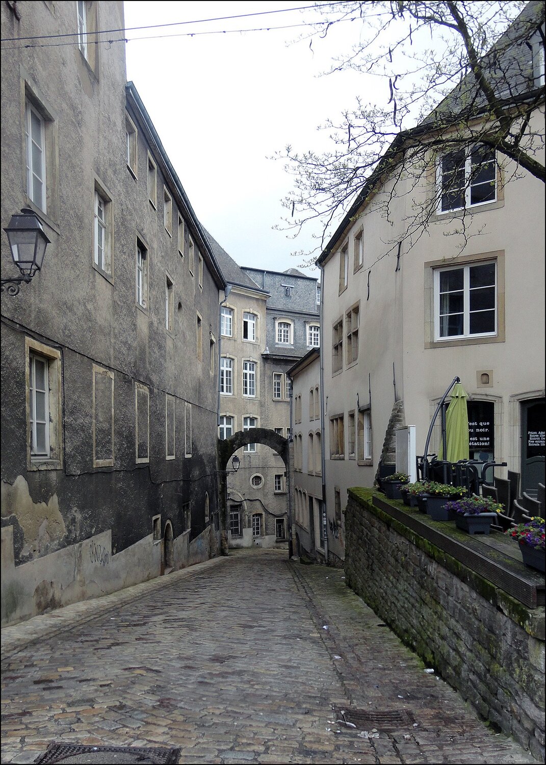 Photo #3925826