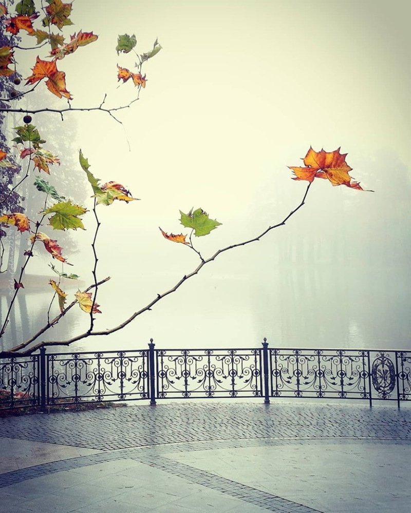 Photograph by Gelu Coltau