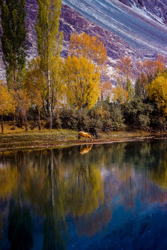 The beautiful rare frame in autumn session