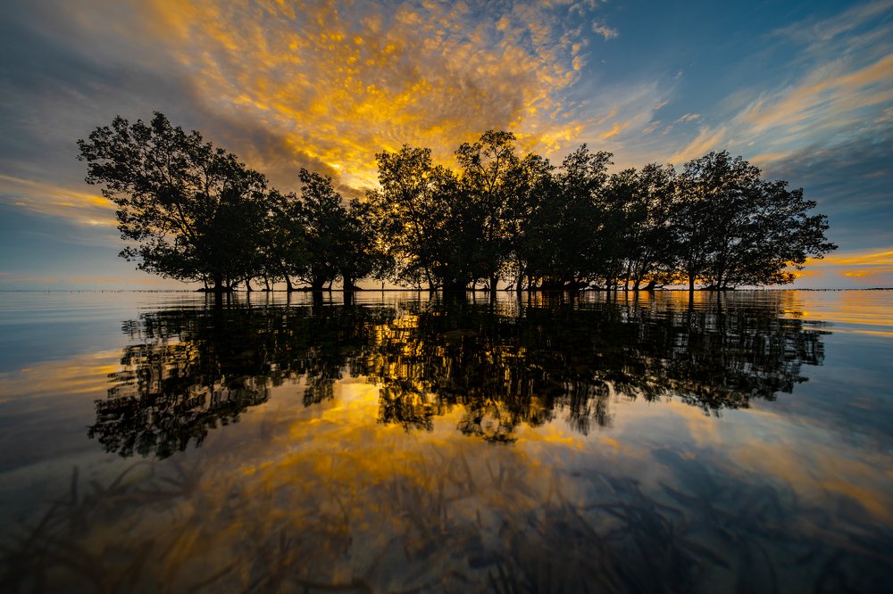 Photograph by Joseph Cheung