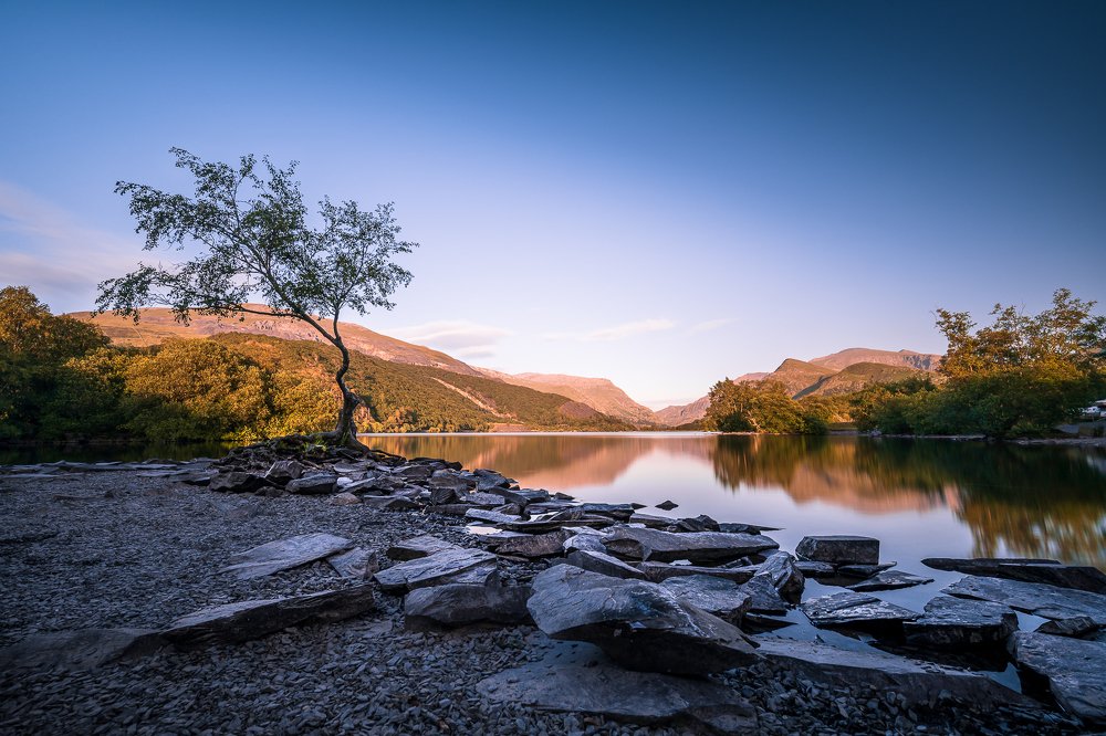 Photograph by Nerijus Siusa