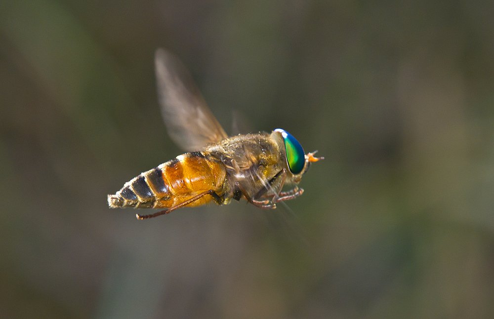 Photograph by Владимир Богданов
