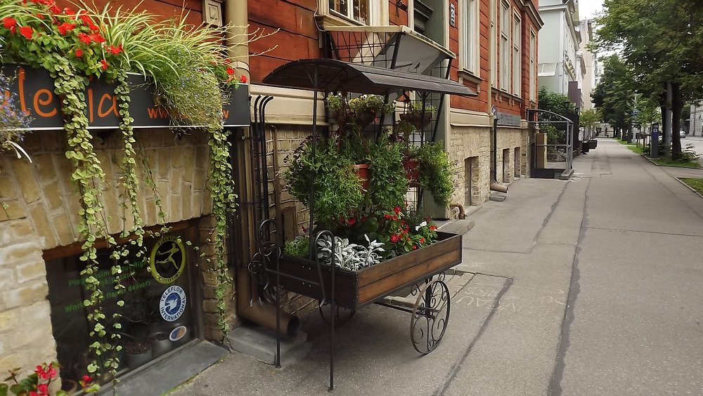 Photograph by Raivo Kremer