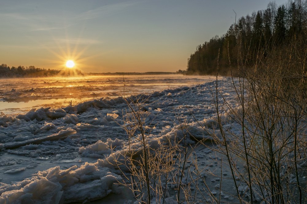 Фотография автора Галина Луценко