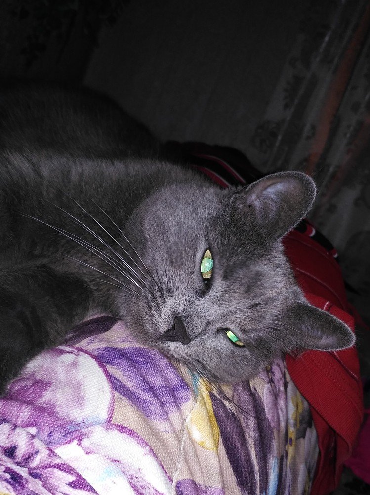 Photograph by Мила