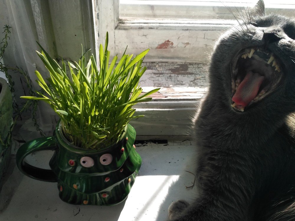 Photograph by Мила