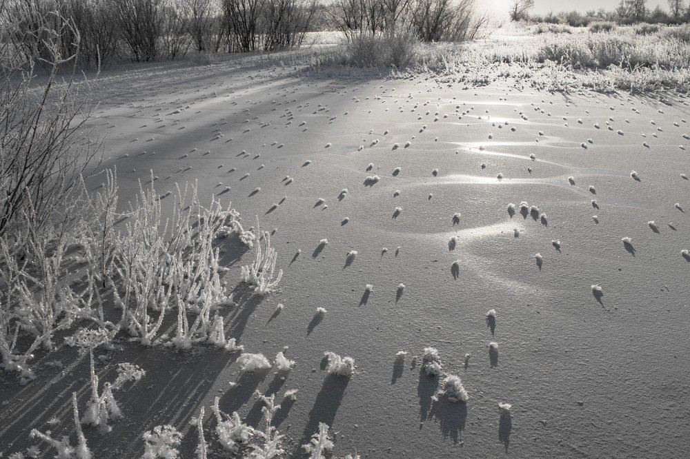 Фотография автора Галина Луценко