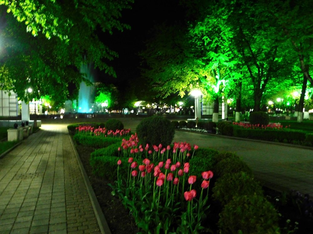 Photograph by Светлана Карпенко