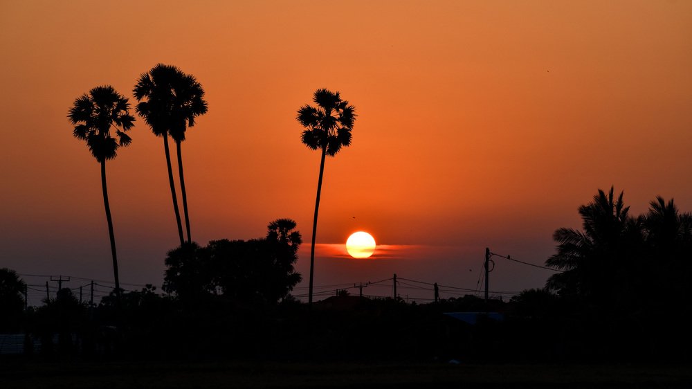 Photograph by Rajaramanan