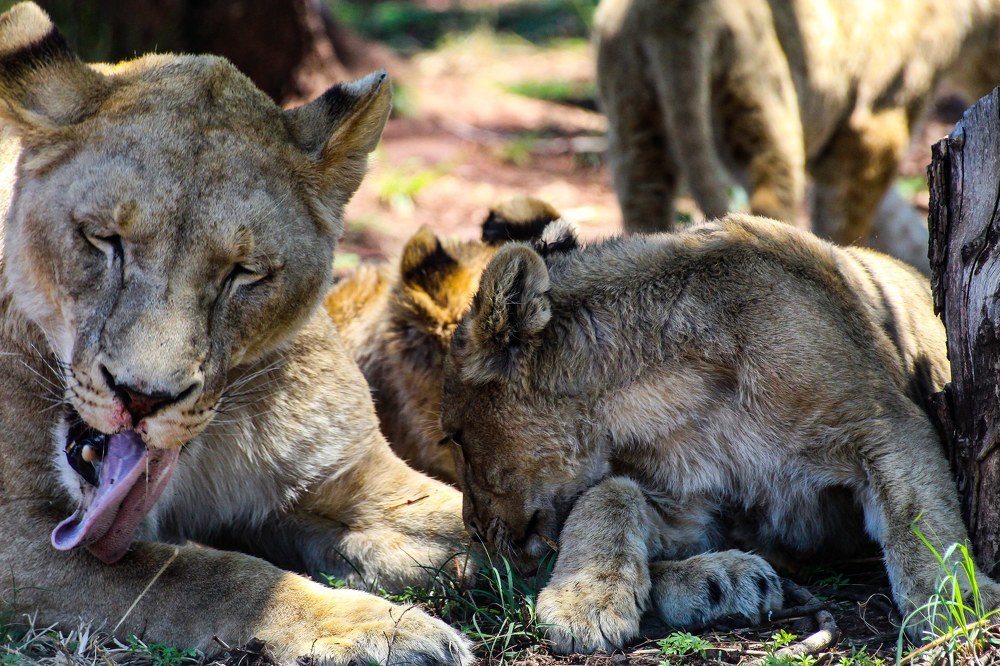 Photograph by Keegan Boland