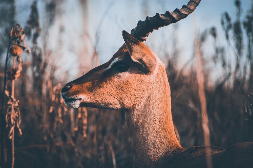 Photograph by Keegan Boland