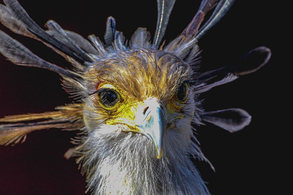 Photograph by Keegan Boland