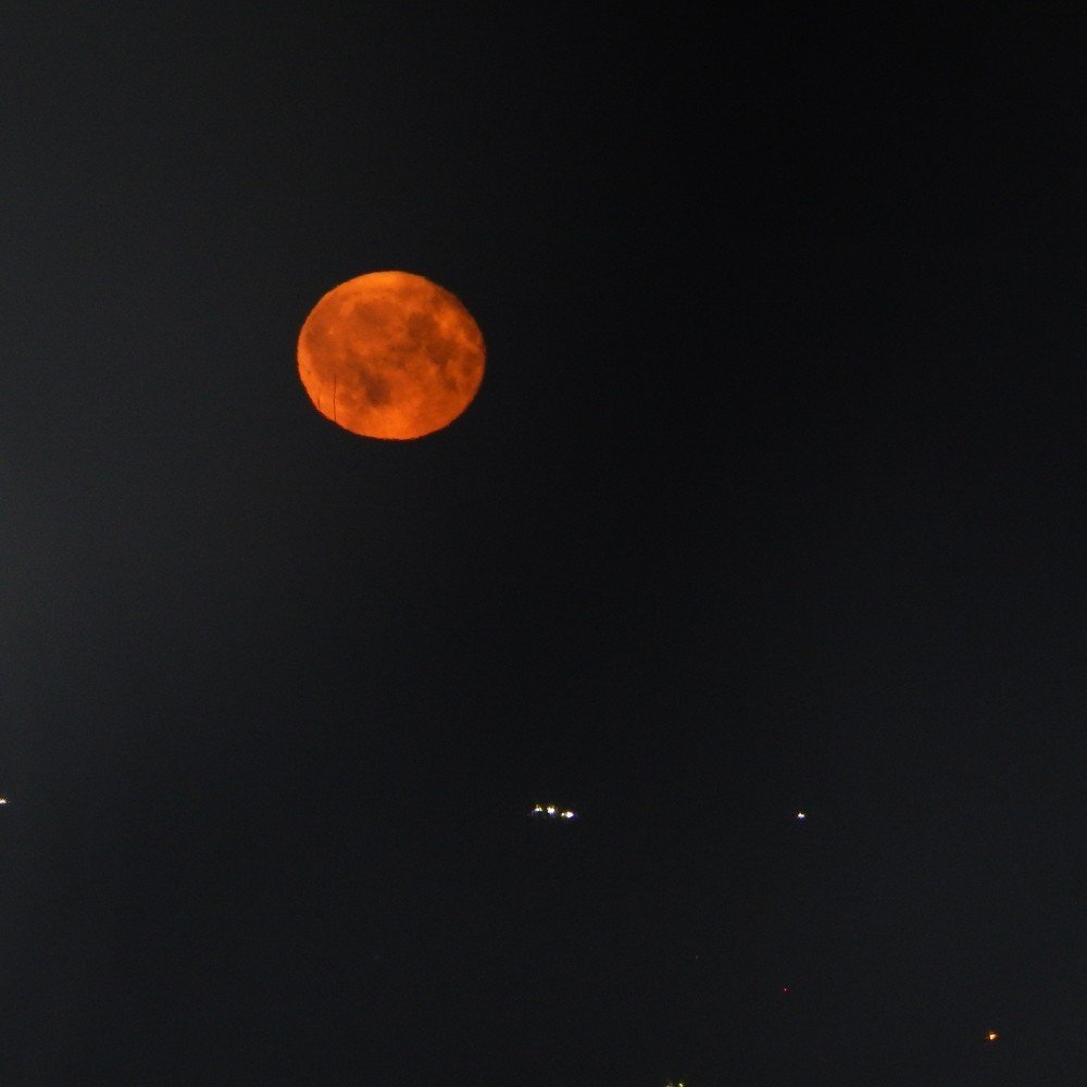 Фотография автора Юлия Кучеренко