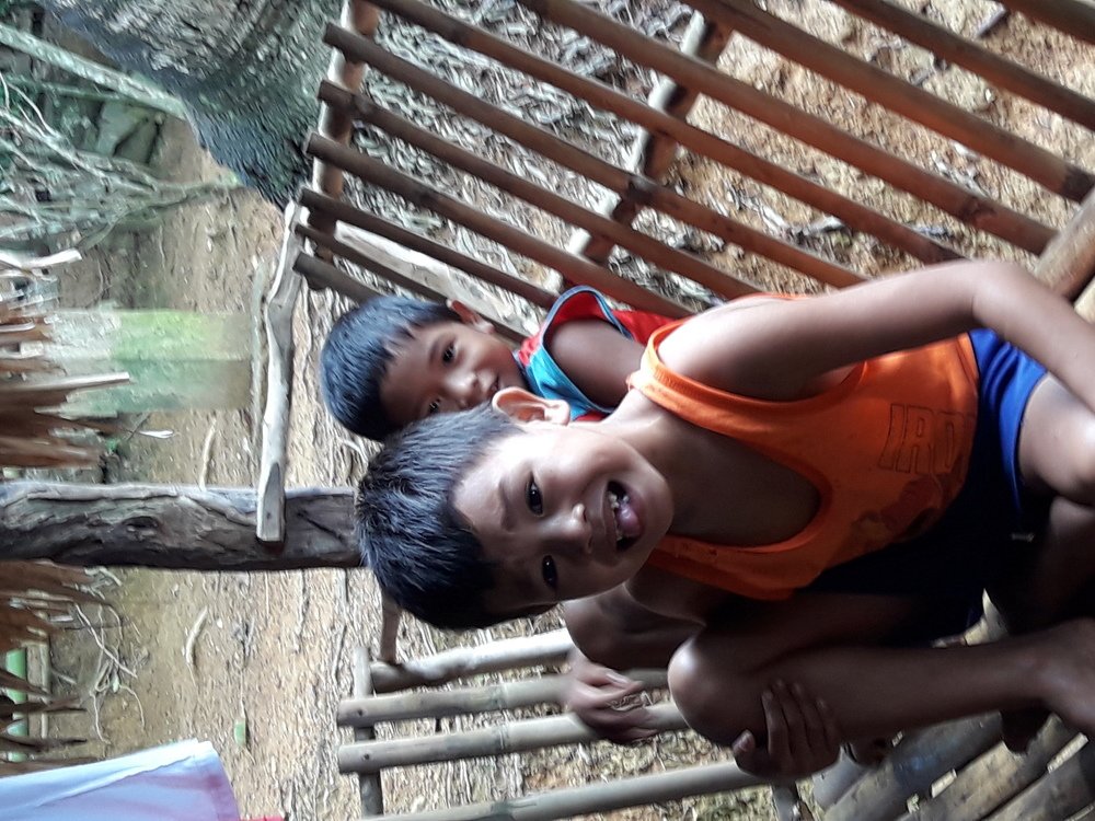 Photo #3926644