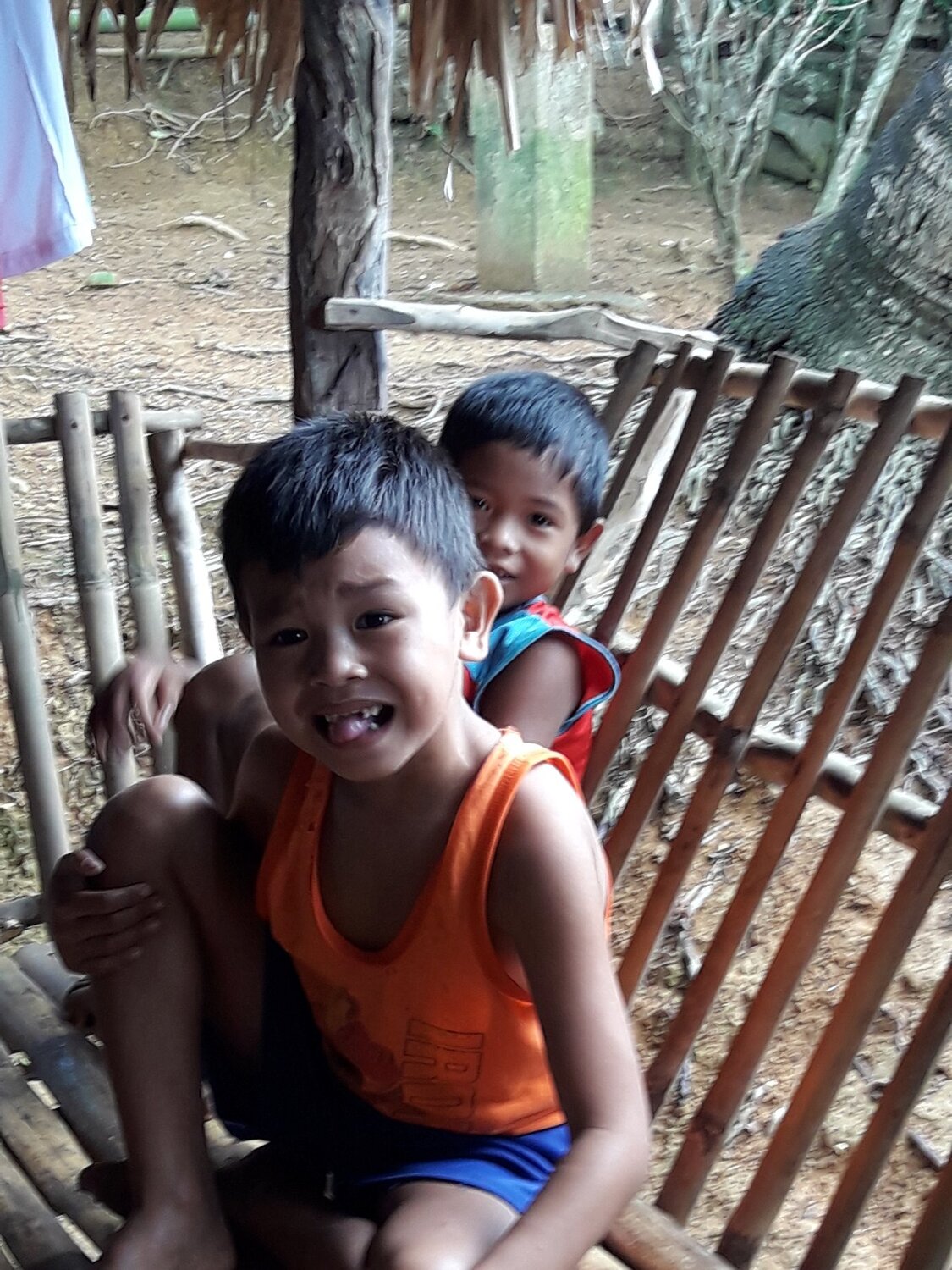 Photo #3926644