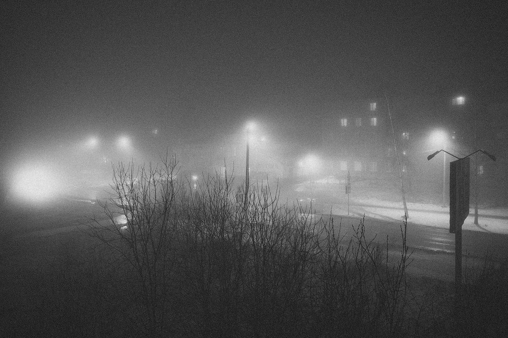 Photograph by Алексей Антропов