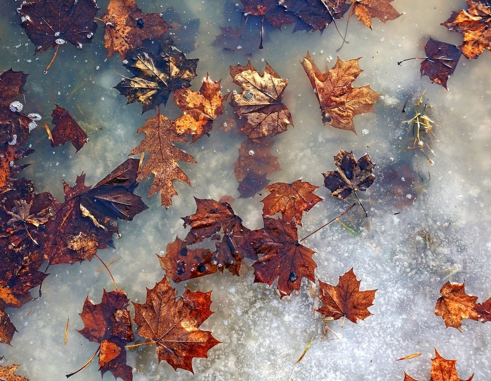 Фотография автора Valery Bel@kov