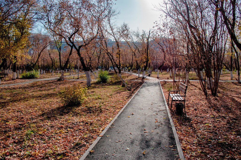 Photograph by Елена Прохорова