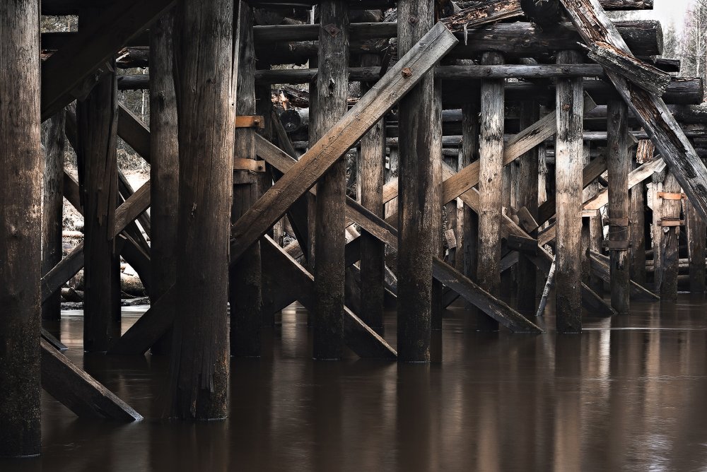 Photograph by Сергей Андреев