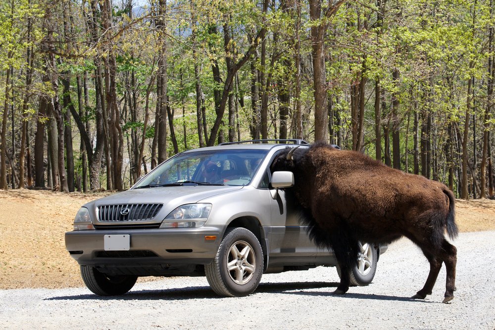 Ваши документы...