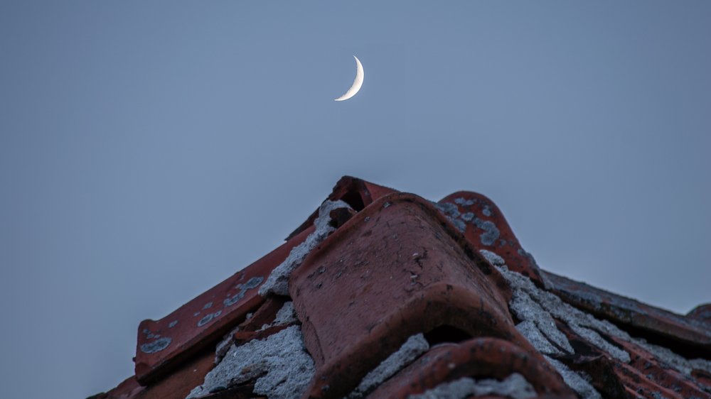 Photograph by Милен Младенов