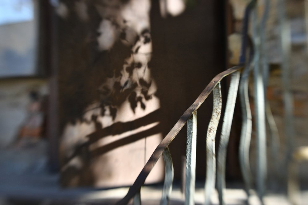 Photograph by Tatyana