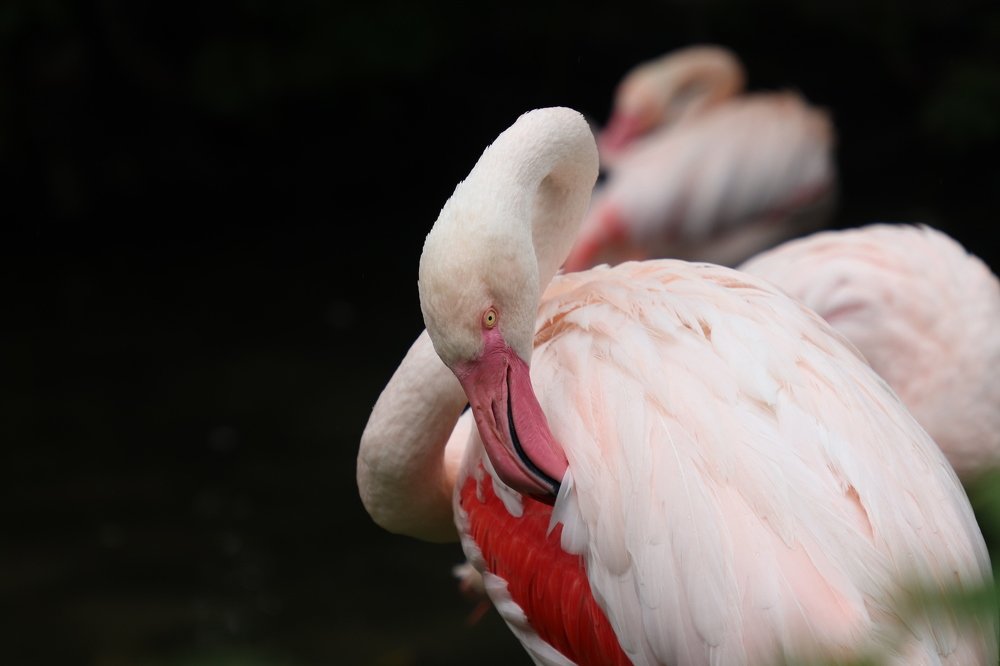 Photograph by Olga Oginskaya