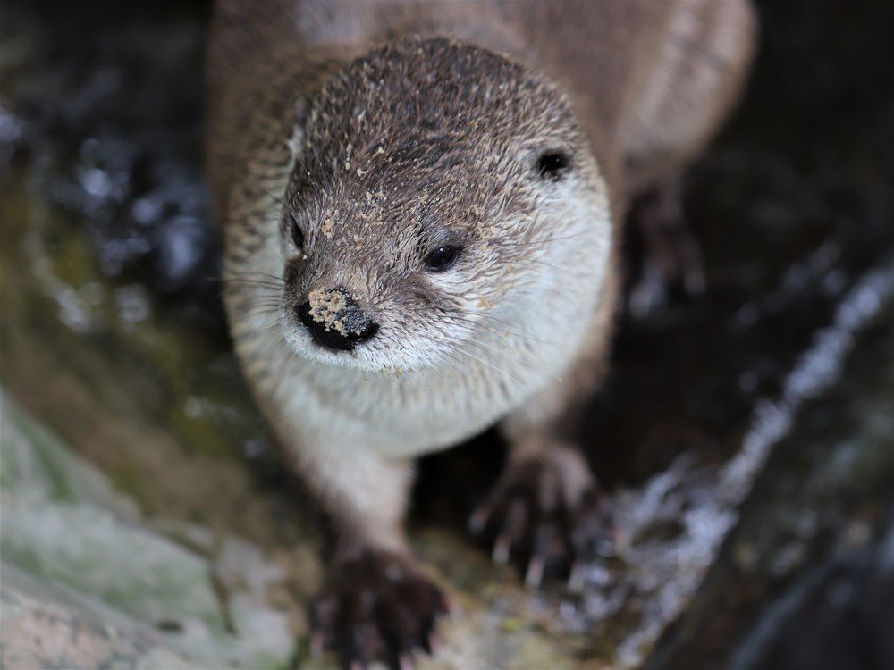 Photograph by Olga Oginskaya