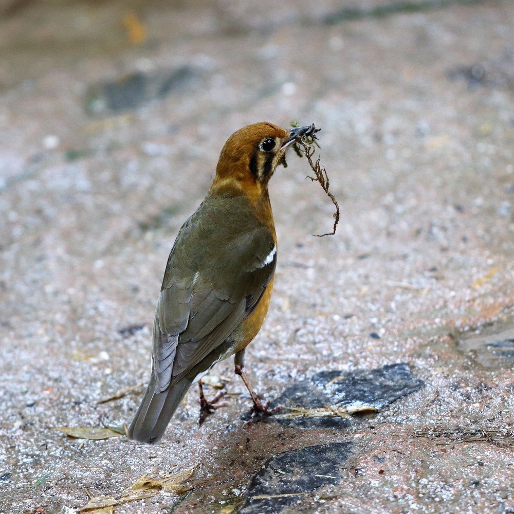 Photograph by Olga Oginskaya