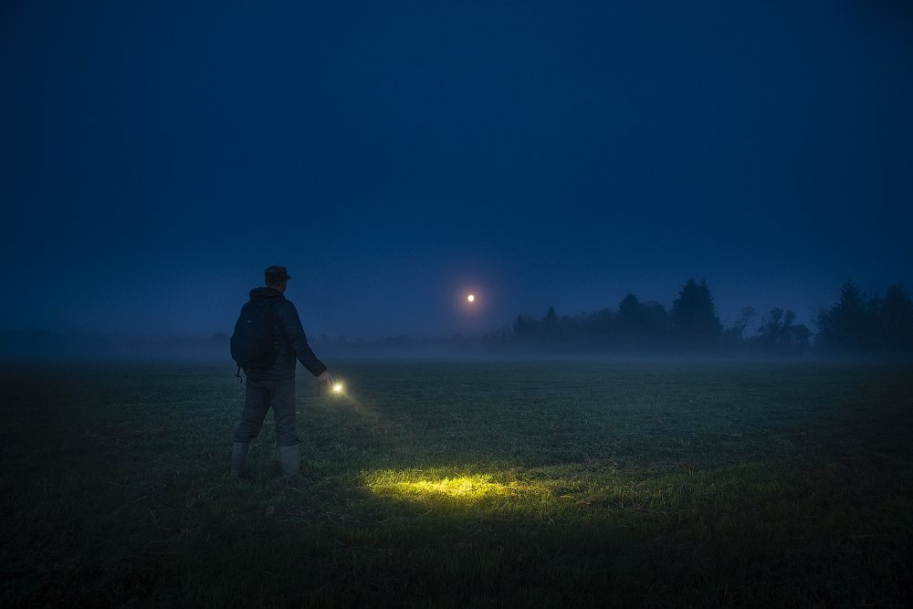 Photograph by Михаил Карпов