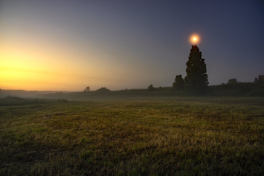 Photograph by Михаил Карпов