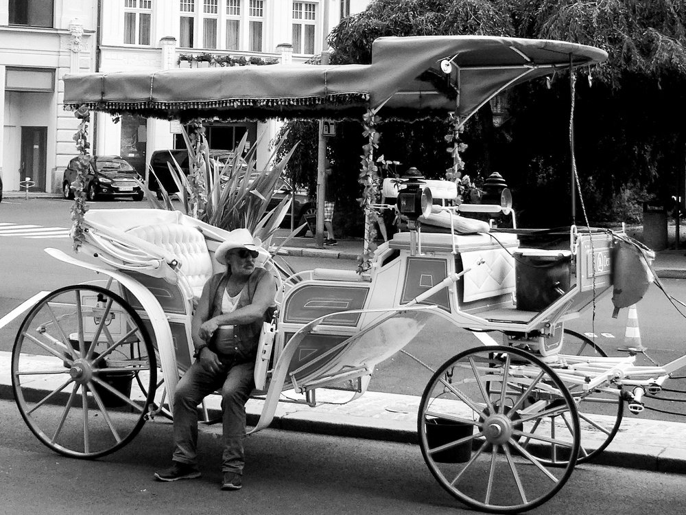 Photograph by Марина Раткун