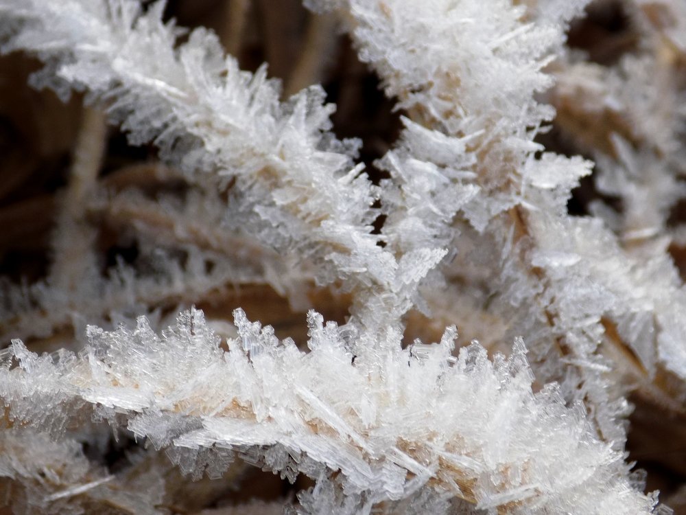 Photograph by Валентина Смирнова