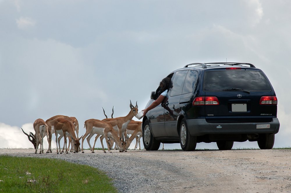 Про доверие...
