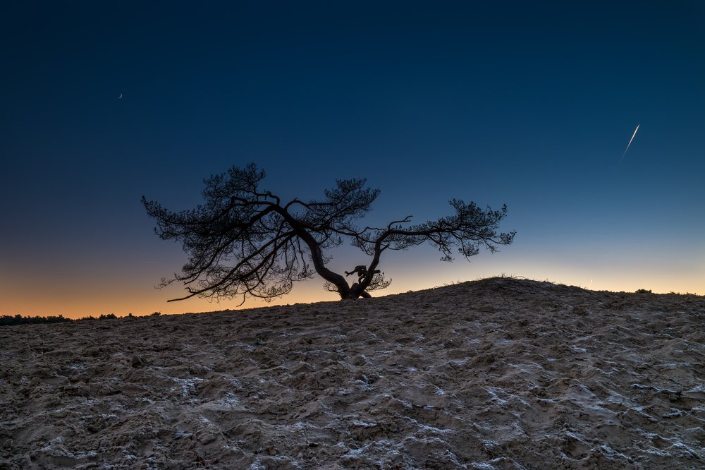 Photograph by Esmeralda Holman