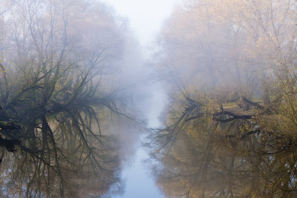 Photograph by Волоцков Александр